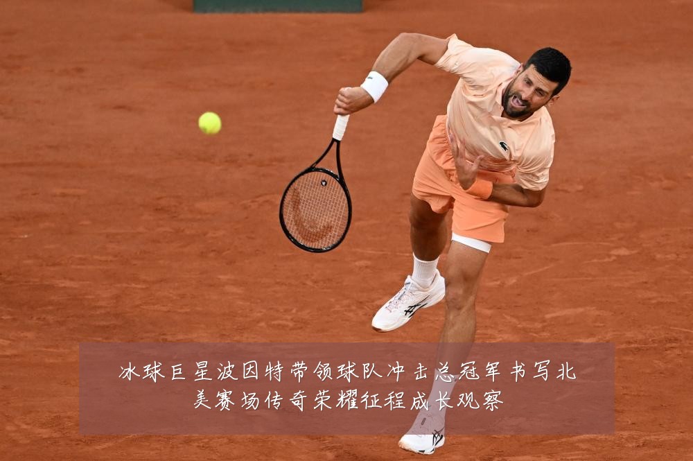 冰球巨星波因特带领球队冲击总冠军书写北美赛场传奇荣耀征程成长观察